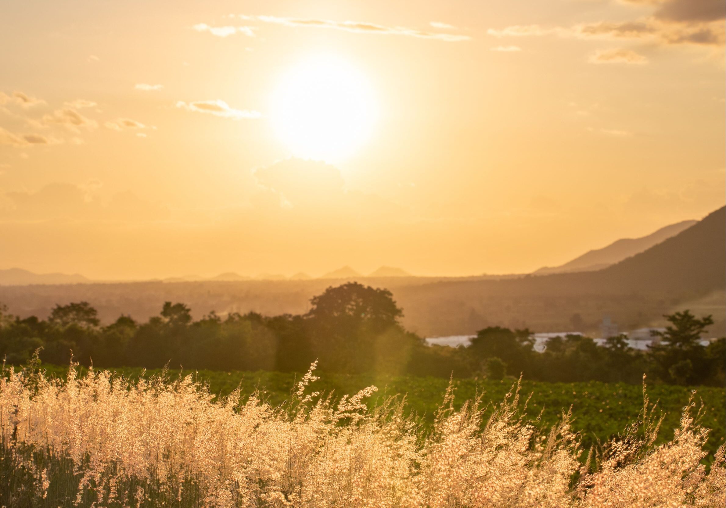 Open Space Resistance Open Space Resistance